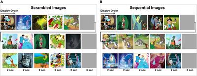 Modulation of Spectral Representation and Connectivity Patterns in Response to Visual Narrative in the Human Brain